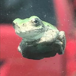 Meet your Posher, Allison